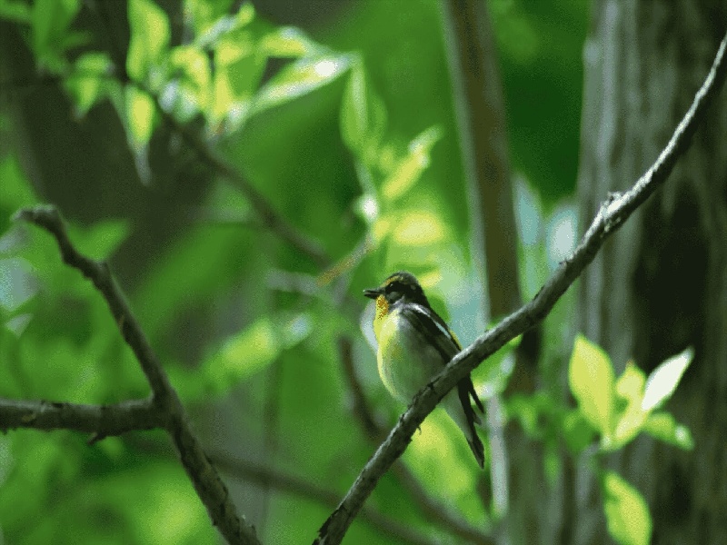 抽血管血型试管（采集核酸试管照片）